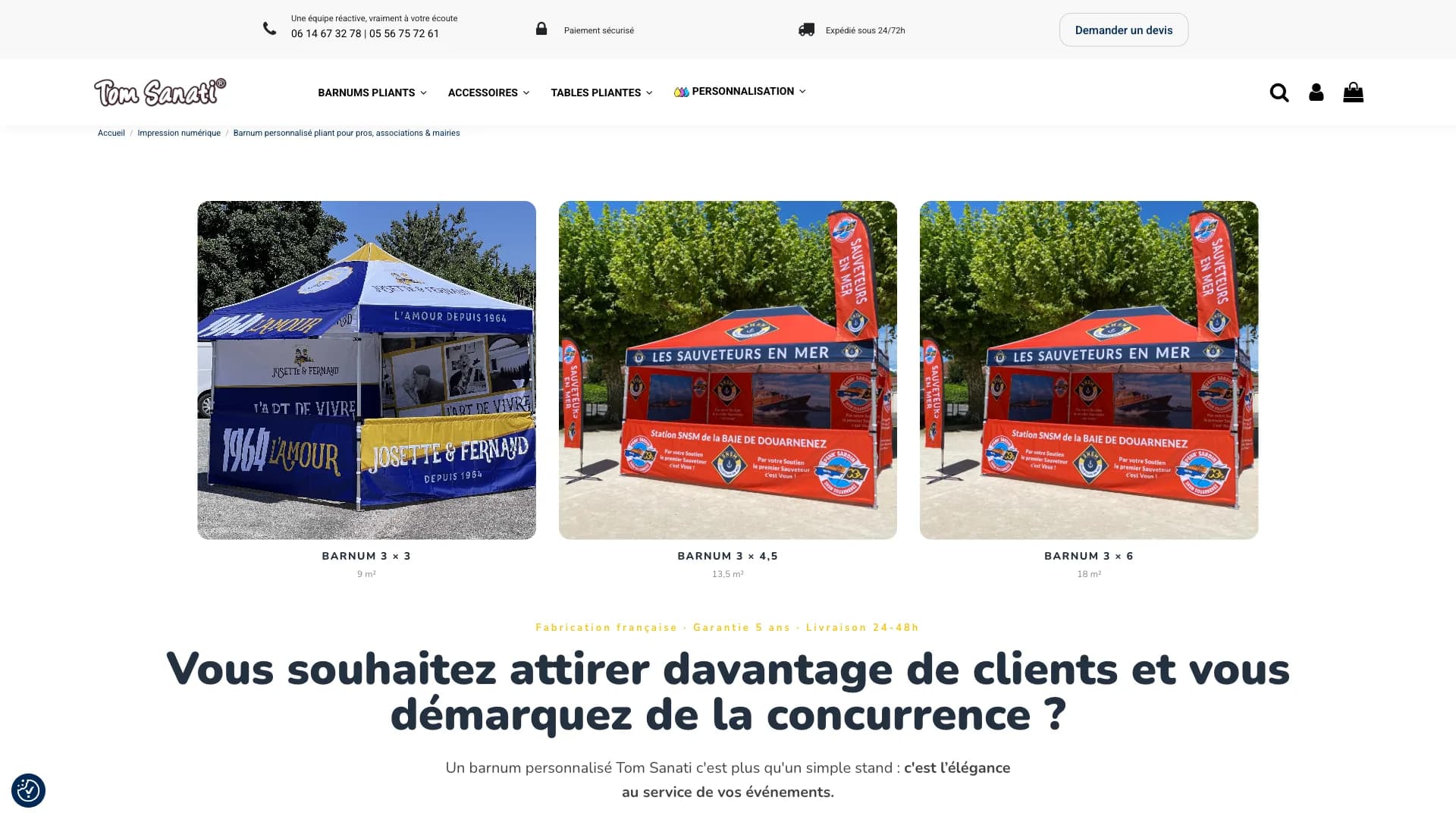 Aperçu du site Tom Sanati