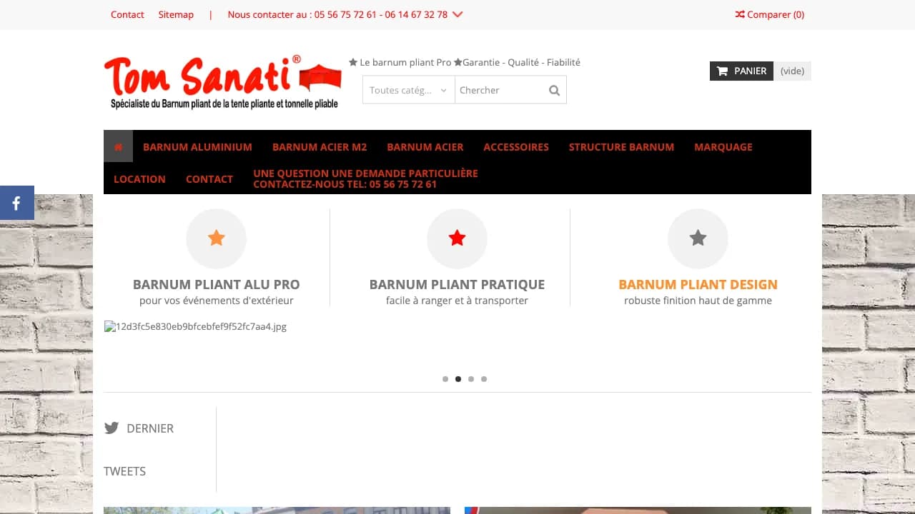 Ancien site Tom Sanati avant refonte